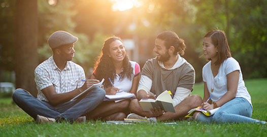 A group of students talking about schoolwork as they relax in a park.