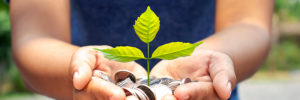 An image of a young lady holding a plant in her hands.